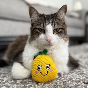 Meet your Posher, Terri